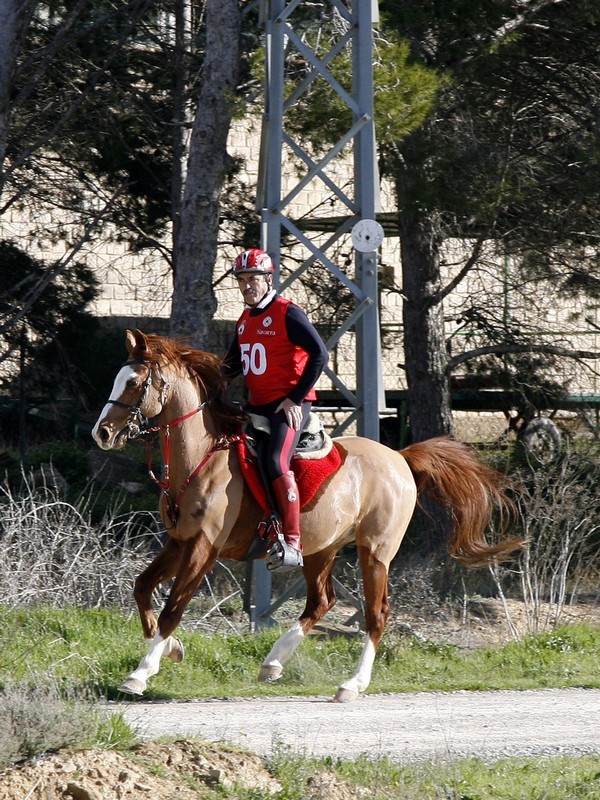 Clasificaci&oacute;n Raid CEI*, CEN 0* y Promoci&oacute;n del 19 de marzo. La navarra Silvia P&eacute;rez de Zabalza gano el raid internacional CEI* celebrado en Figarol